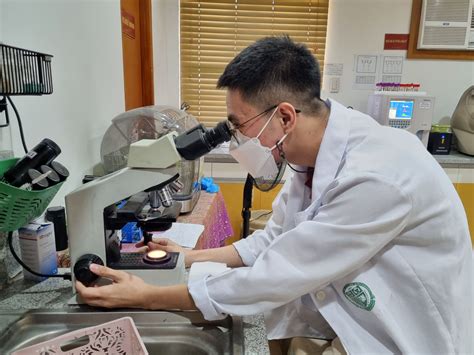 2d echo price pampanga|Alphamed Diagnostic Laboratory.